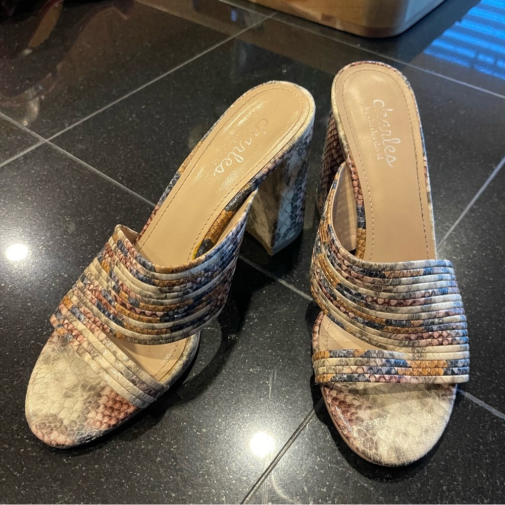 Charles by Charles David Rhythmic Mule Sandal